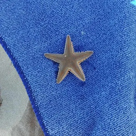 Paoletta Flat Apartamento *