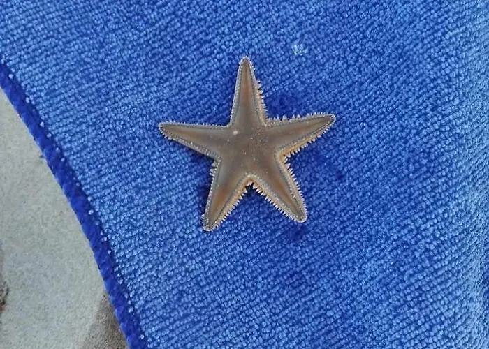 Paoletta Flat Apartamento *